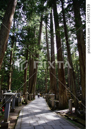 世界遺產高野山奧之院的風景 世界遺產高野山奧之院的風景 104957239