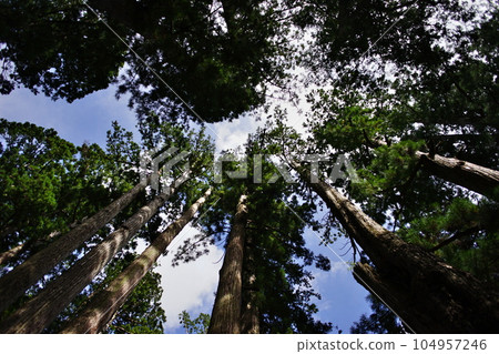 Scenery of Okunoin on Mt. Koya, a World Heritage site Scenery of Okunoin on Mt. Koya, a World Heritage site 104957246