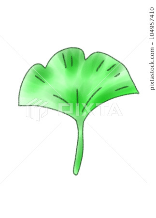 simple maple illustration simple maple illustration 104957410