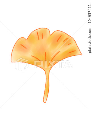 simple maple illustration simple maple illustration 104957411