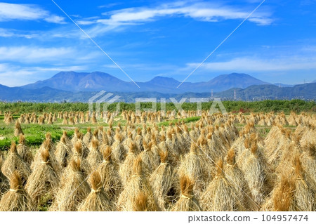 遠德稻田和北信五學的田園風光 遠德稻田和北信五學的田園風光 104957474