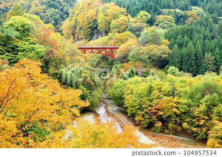 Autumnal leaves and Takai Bridge in the Matsukawa Valley 104957534