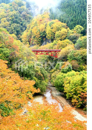 秋季葉子和高井橋在松川谷 104957535