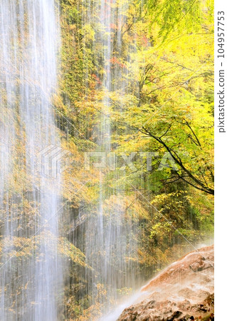 閃電瀑布和秋葉 104957753
