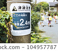 Tsunami caution area signboard and elementary school students 104957787