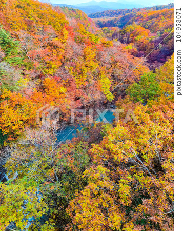Autumn leaves in Hachimantai and Matsukawa Valley (near Mori-no-Ohashi Bridge) 104958071