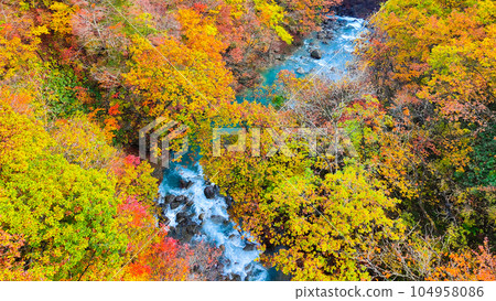 八幡平、松川溪谷的紅葉（森大橋附近） 104958086