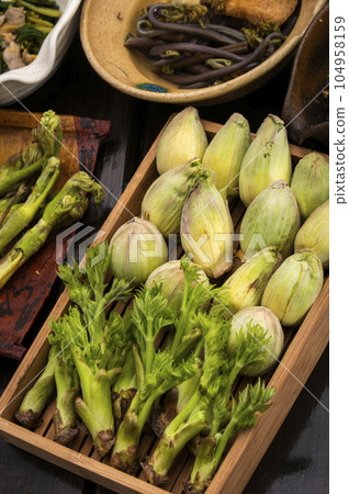 春季野菜和時令菜餚 104958159
