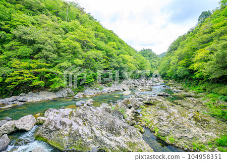 Chomonkyo Gorge in early summer, Yamaguchi City, Yamaguchi Prefecture 104958351