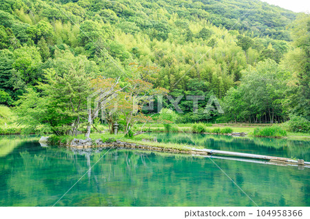 山口縣美祢市初夏的白水池 104958366