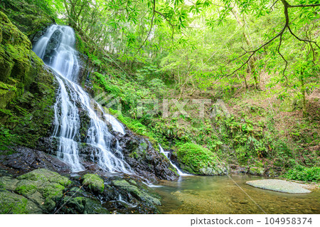 山口縣美祢市初夏的白絲秋吉瀑布 104958374