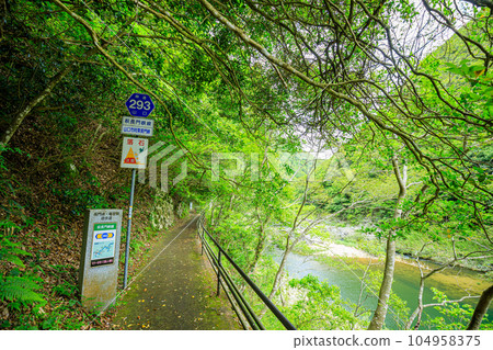 初夏的長門峽縣路標山口縣山口市 104958375