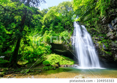 Ryuzugataki Waterfall in early summer, Otaki, Unnan City, Shimane Prefecture 104958383