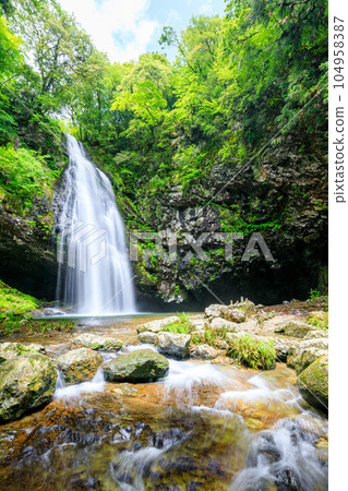 Ryuzugataki Waterfall in early summer, Otaki, Unnan City, Shimane Prefecture 104958387