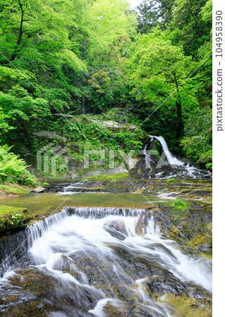 Ryuzugataki Falls in early summer, Medaki, Unnan City, Shimane Prefecture 104958390