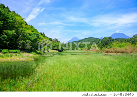 初夏的神樂目湖,大分縣別府市 初夏的神樂目湖,大分縣別府市 104958440