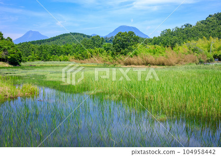 初夏的神樂目湖,大分縣別府市 初夏的神樂目湖,大分縣別府市 104958442