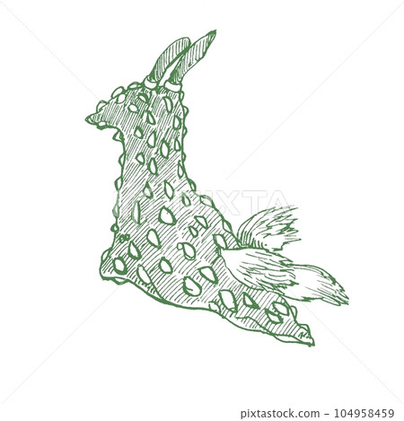Tosakaryu sea slug green 104958459