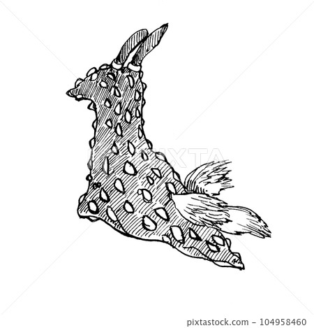 Tosakaryu sea slug black Tosakaryu sea slug black 104958460