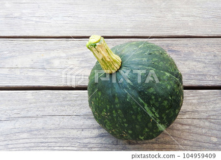 從廚房花園收穫的南瓜的照片 104959409