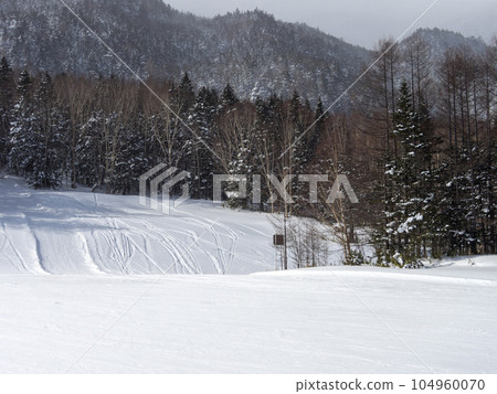 滑雪勝地的斜坡風景 104960070