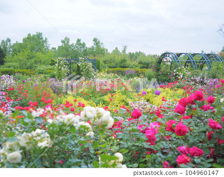 English Garden Ecorin Village Rose Garden 104960147