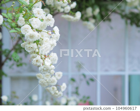 English garden scenery by the window 104960617