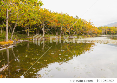 Autumn scenery of Hokkaido Shiretoko Five Lakes 104960802