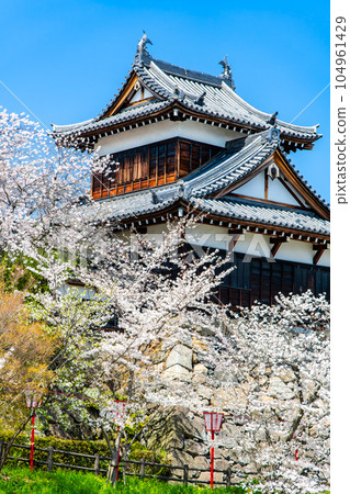 Nara, Koriyama Castle with cherry blossoms in full bloom ~Turret facing Otetsu~ Nara, Koriyama Castle with cherry blossoms in full bloom ~Turret facing Otetsu~ 104961429