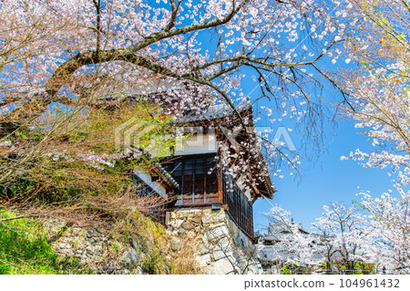 Nara, Koriyama Castle with cherry blossoms in full bloom ~Turret facing Otetsu~ Nara, Koriyama Castle with cherry blossoms in full bloom ~Turret facing Otetsu~ 104961432