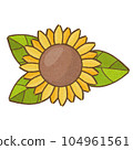 sunflower with texture 104961561