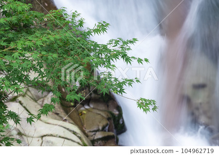 Nagata Gorge of fresh greenery 104962719