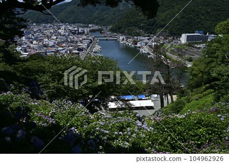 View of Shimoda city from Shimoda Park with hydrangeas View of Shimoda city from Shimoda Park with hydrangeas 104962926