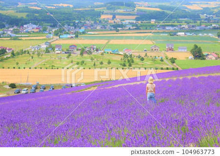 Hokkaido in early July, Furano, summer sky in Hokkaido, looking at Kamifurano from the lavender fields in Hinode Park 104963773