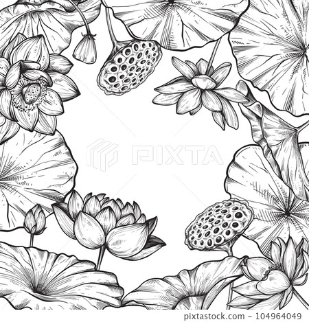 Vector frame with hand drawn blooming lotus flowers and leaves. 104964049