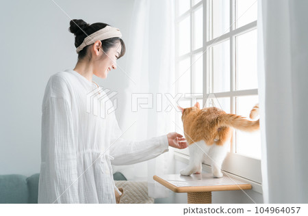 Owner asian woman playing with her cat 104964057