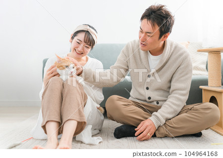 Owner's couple / couple (transfer meeting / pet shop) playing with a pet cat with a cat 104964168
