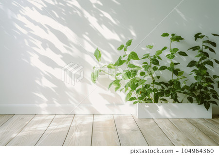 A white room with a planter with refreshing sunshine filtering through the trees A white room with a planter with refreshing sunshine filtering through the trees 104964360