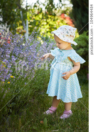 cute baby girl in dress in lavender in summer cute baby girl in dress in lavender in summer 104964484