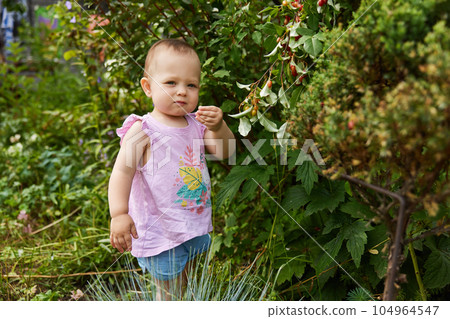 little baby girl playing in the garden in summer day little baby girl playing in the garden in summer day 104964547