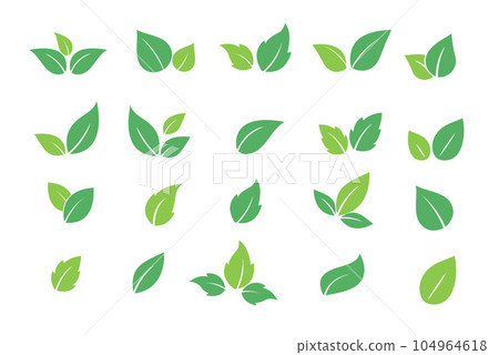 Set of green leaf icons. Leaves icon. Leaves of trees and plants. Collection green leaf 104964618