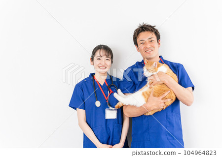 Male and female veterinarians at animal hospitals holding cats (Asian) Male and female veterinarians at animal hospitals holding cats (Asian) 104964823