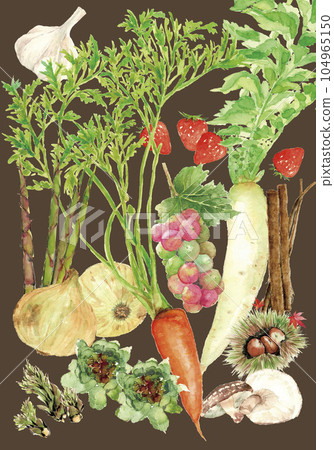 背景色水彩畫的各種蔬菜插圖 背景色水彩畫的各種蔬菜插圖 104965150