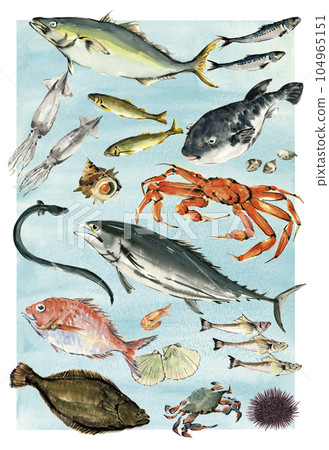Various seafood illustrations drawn by watercolor 104965151