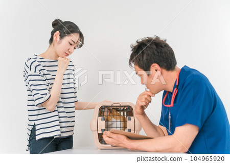 在動物醫院接受獸醫檢查的貓和主人的亞洲女人(寵物) 在動物醫院接受獸醫檢查的貓和主人的亞洲女人(寵物) 104965920