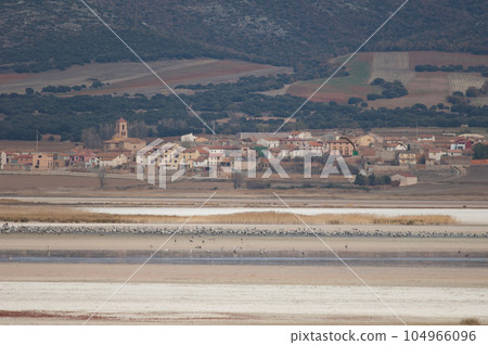 Common cranes and Gallocanta village. Common cranes and Gallocanta village. 104966096