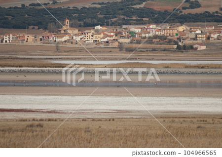 Common cranes and Gallocanta village. Common cranes and Gallocanta village. 104966565
