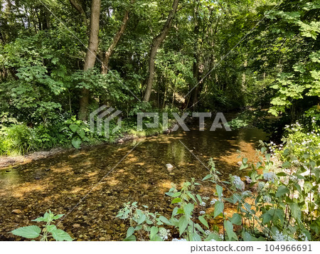 德國腓特烈斯多夫森林中的小溪 德國腓特烈斯多夫森林中的小溪 104966691