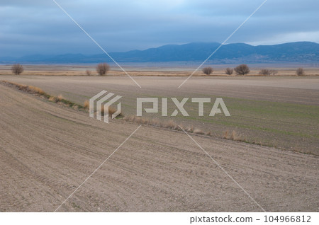 Farmland. 104966812