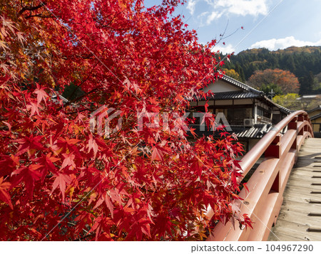 室寺太鼓橋色彩繽紛的秋葉 室寺太鼓橋色彩繽紛的秋葉 104967290